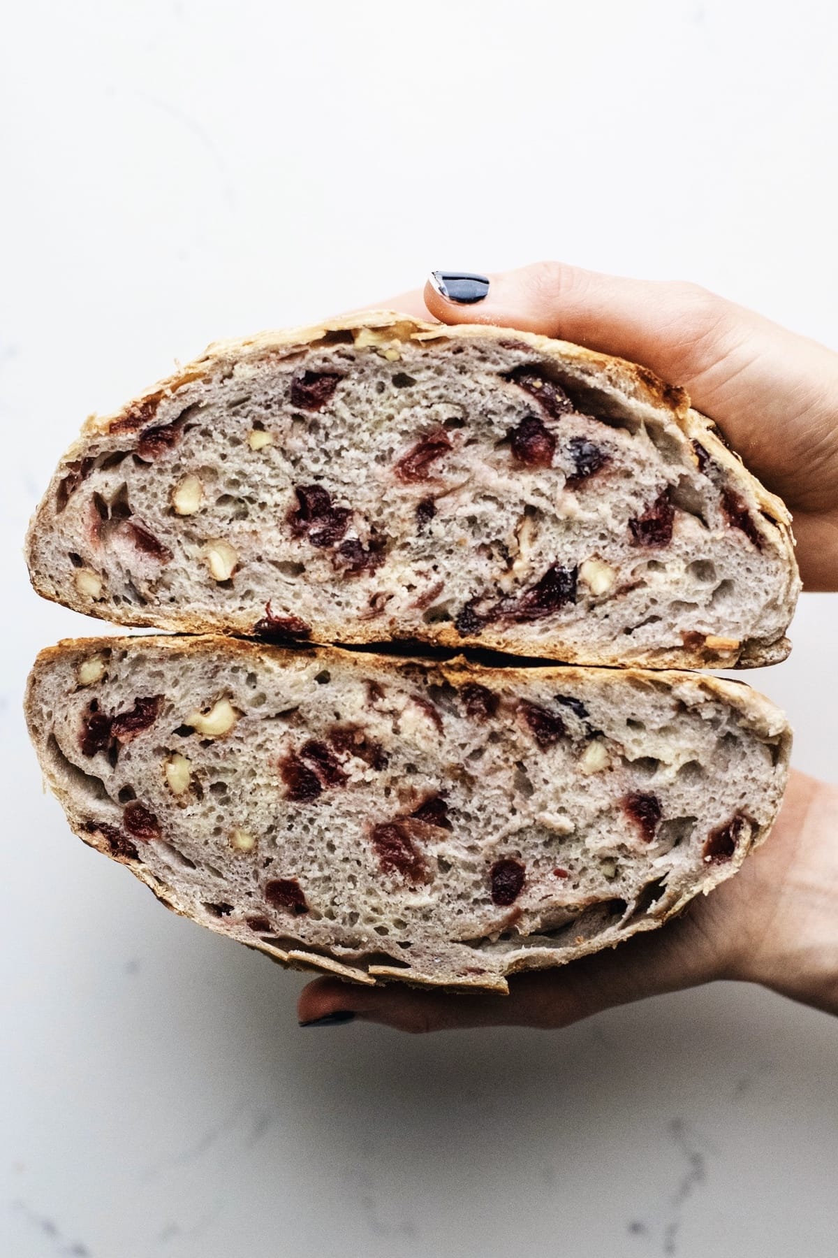 Cranberry Walnut Dutch Oven Bread