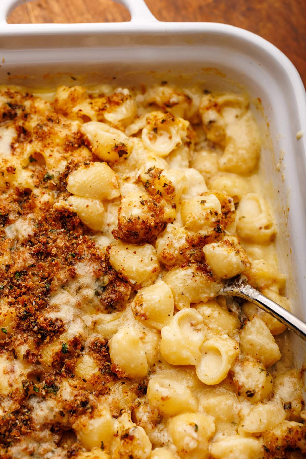 A close up of creamy baked mac and cheese in a white baking dish with breadcrumbs on top.